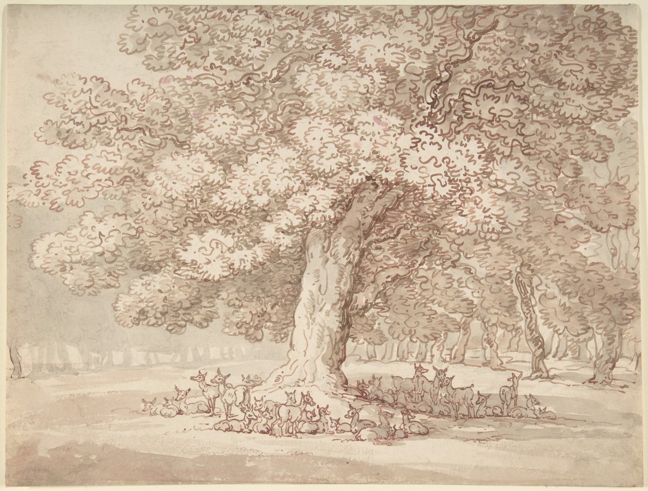 Un troupeau de cerfs sous un chêne - Thomas Rowlandson