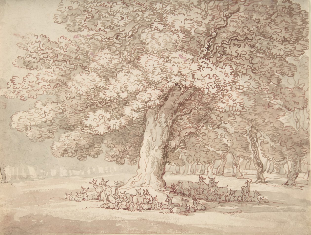 Troupeau de cerfs sous un chêne, 1775-1827 - Thomas Rowlandson