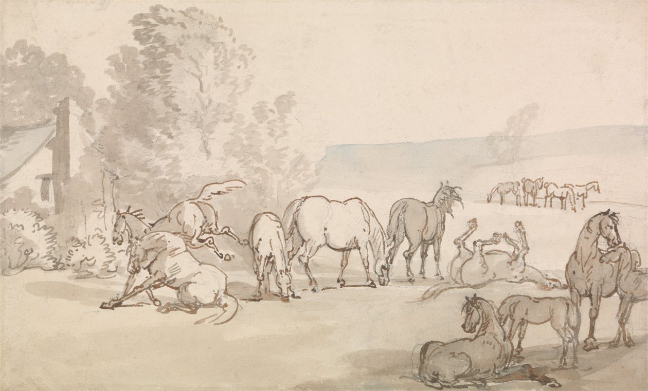 Des juments et des poulains dans un pré - Thomas Rowlandson