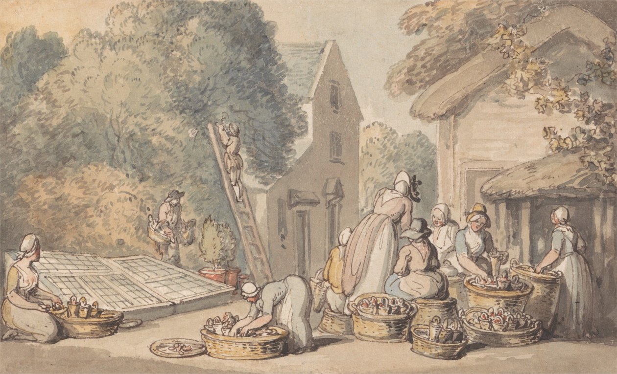 La cueillette des mûres - Thomas Rowlandson