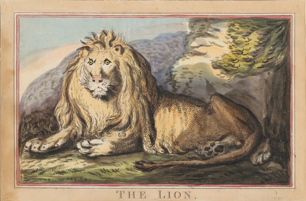 Lot de huit avec page de titre. « Animaux étrangers et domestiques ». 3. La lionne - Thomas Rowlandson
