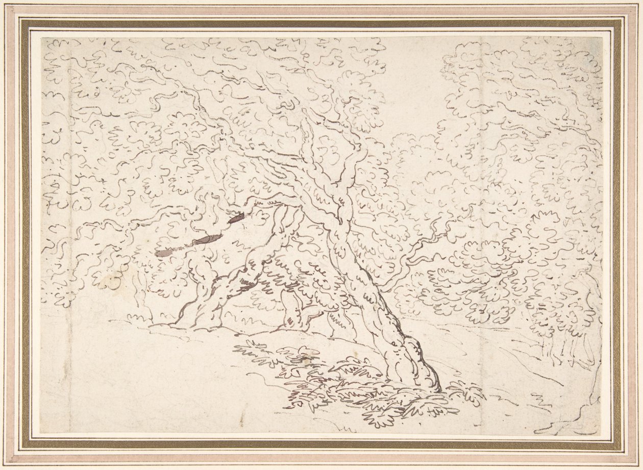 Étude des arbres - Thomas Rowlandson