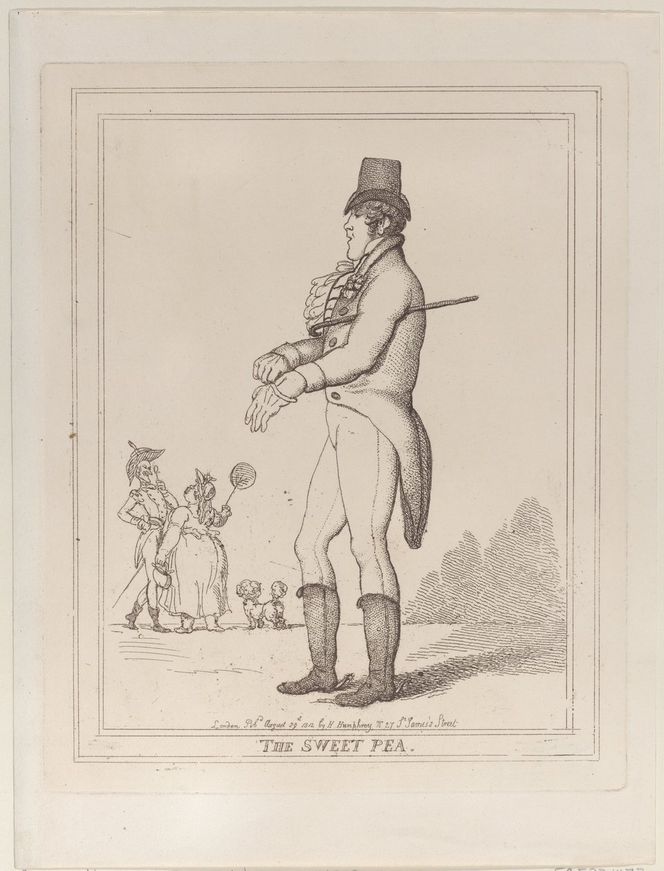 Le Pois de senteur - Thomas Rowlandson