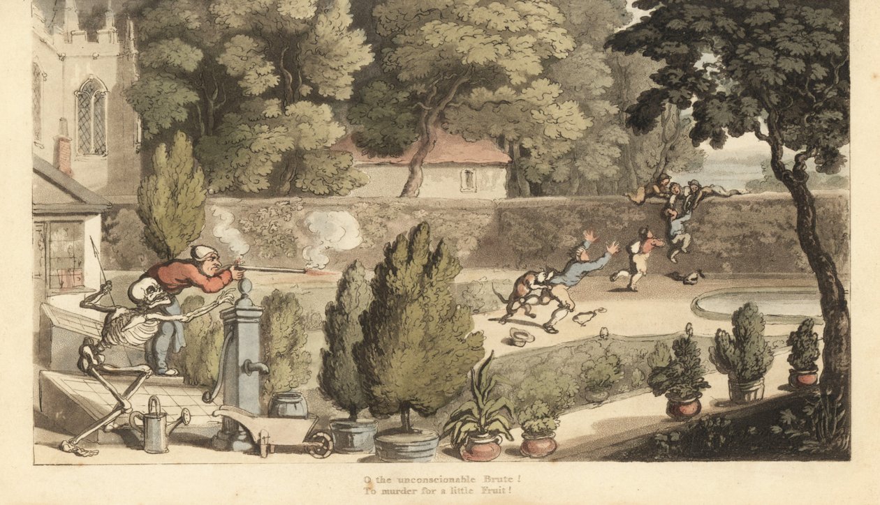 Le squelette de la Mort aide un propriétaire terrien à viser avec un mousquet des garçons braconnant dans son jardin essayant de fuir par-dessus un mur. Gravure à la main par Thomas Rowlandson de The English Dance of Death, Ackermann, Londres - Thomas Rowlandson
