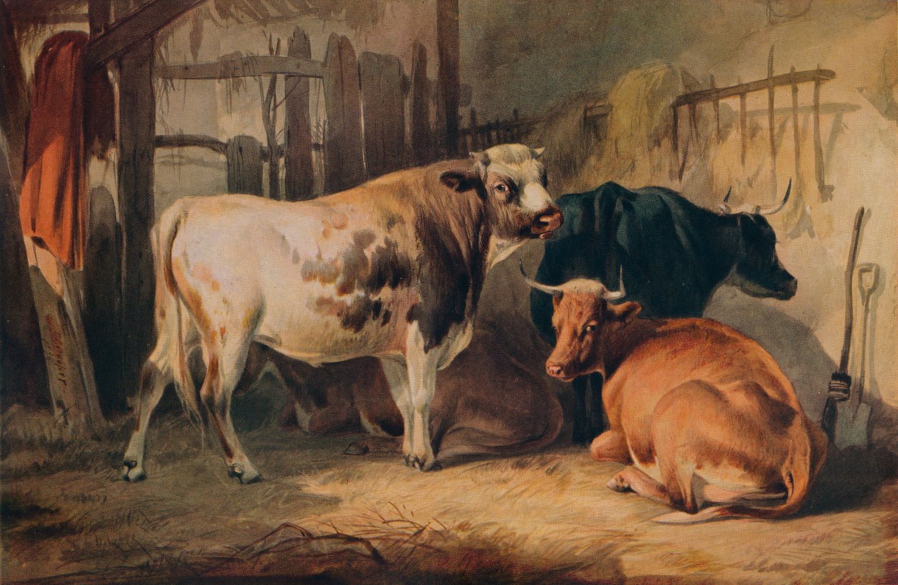 Un taureau et trois vaches dans une étable, vers 1856 - Thomas Sidney Cooper