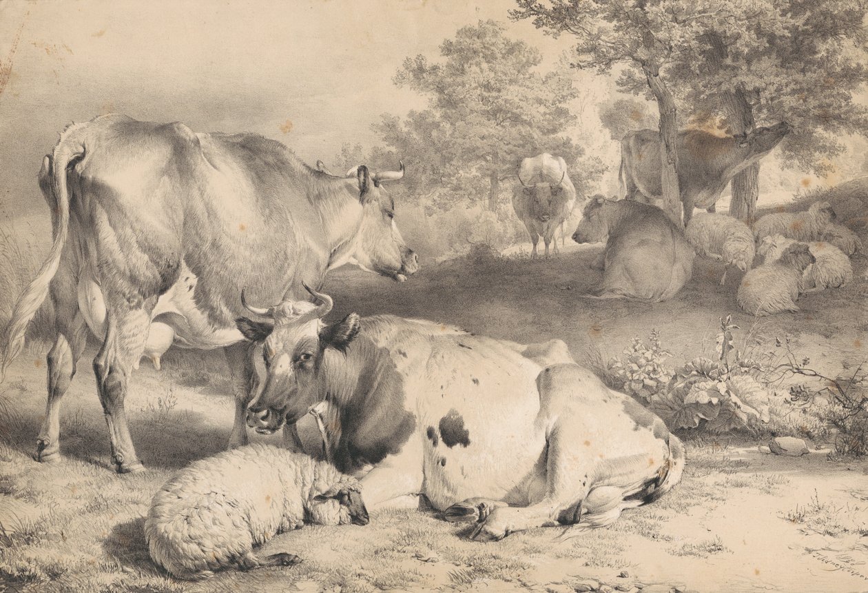 Moutons et bovins - Thomas Sidney Cooper