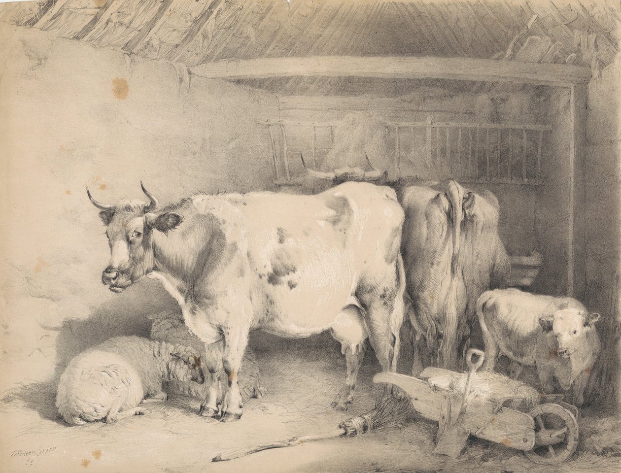 Moutons et bovins dans une grange - Thomas Sidney Cooper