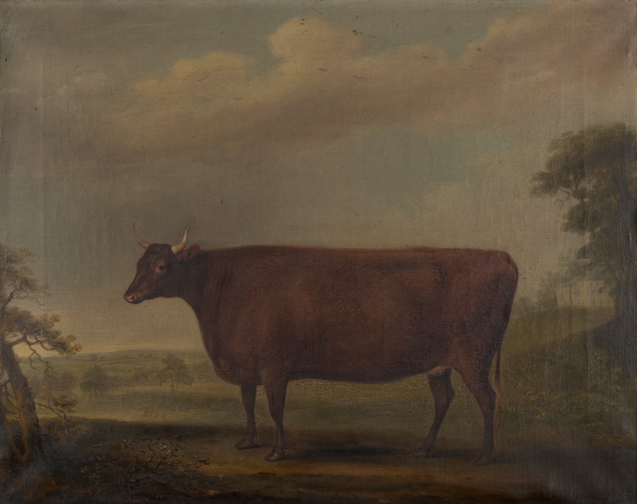 Génisses rouges du Devon dans un paysage, vers 1812 - Thomas Weaver
