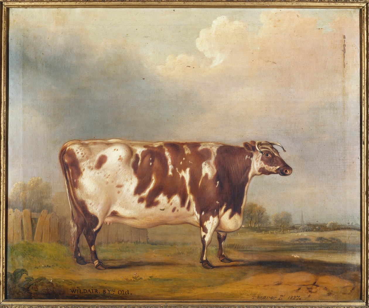 Wildair, une génisse de huit ans dans un paysage fluvial, 1827 - Thomas Weaver