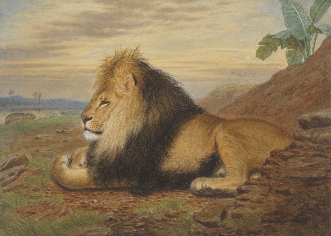 Un lion - Thomas William Wood