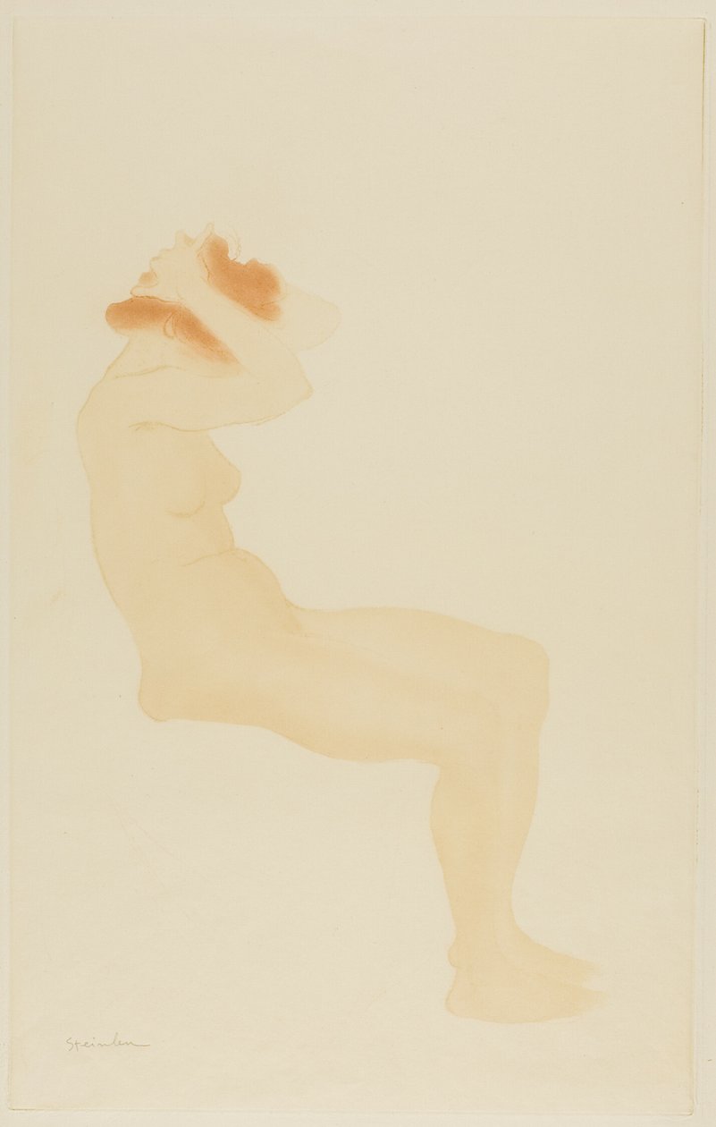 Femme de profil se coiffant - Théophile Alexandre Pierre Steinlen