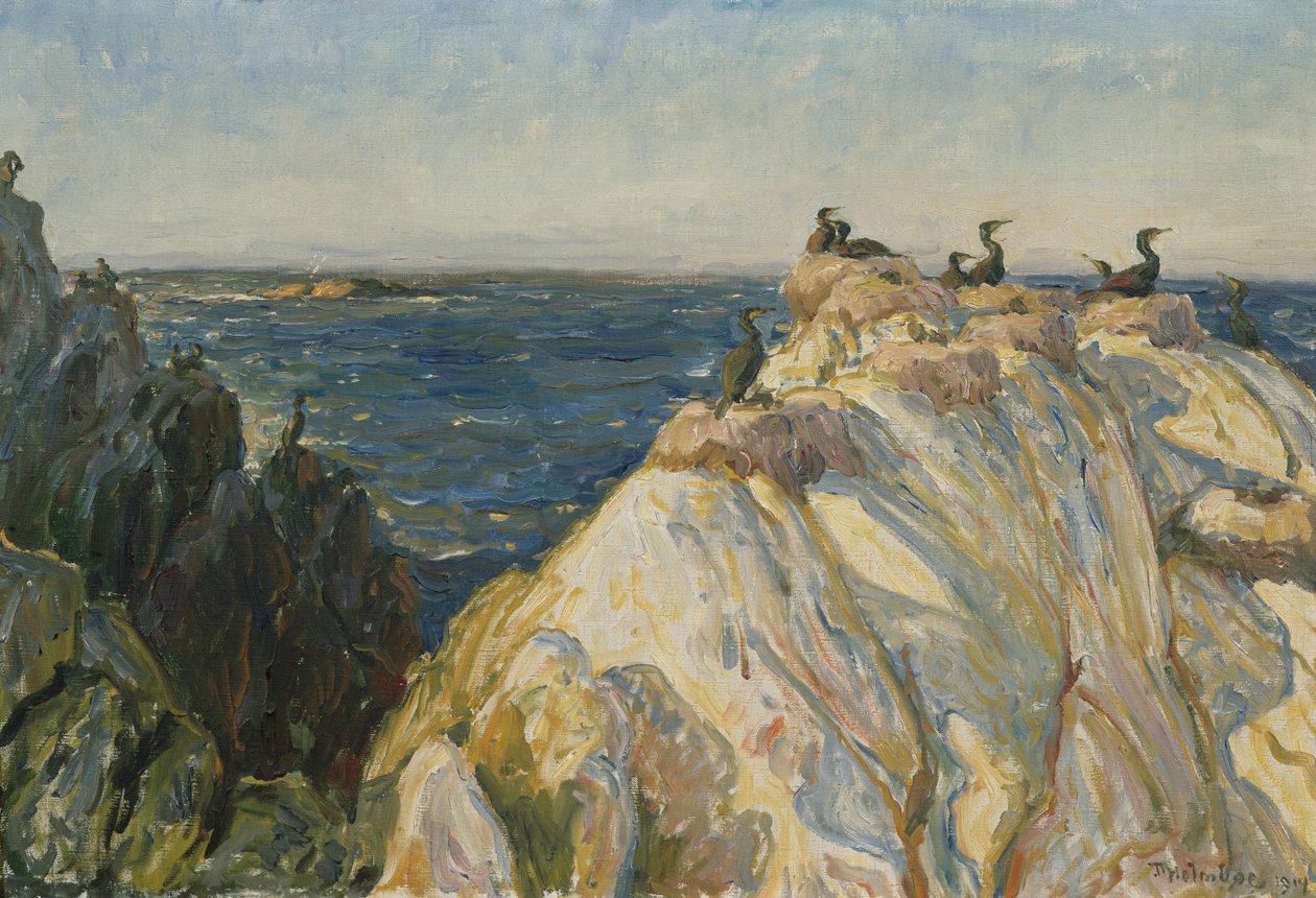 Oiseau de mer - Thorolf Holmboe