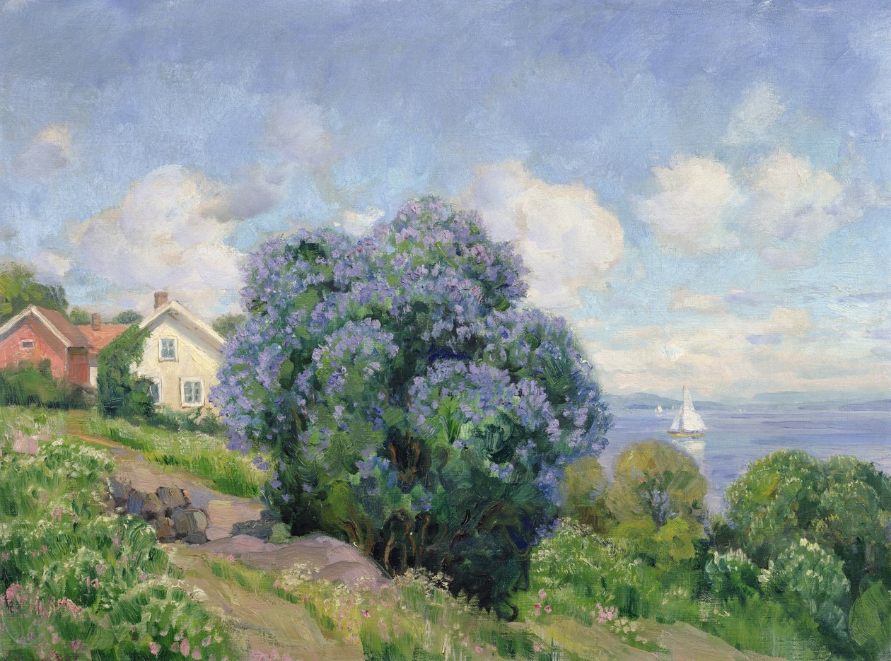 Paysage d