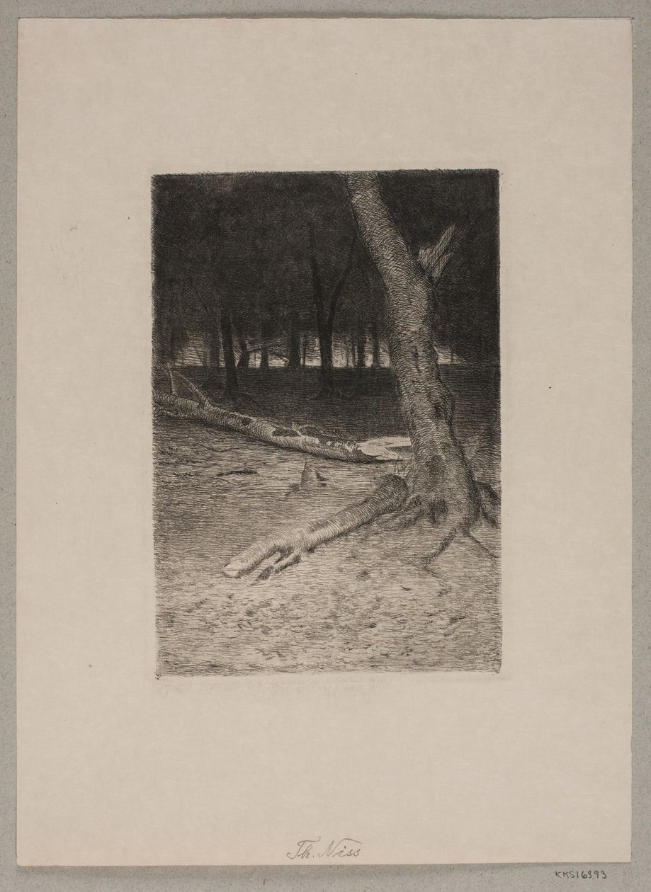 Forêt intérieure. Soir - Thorvald Niss