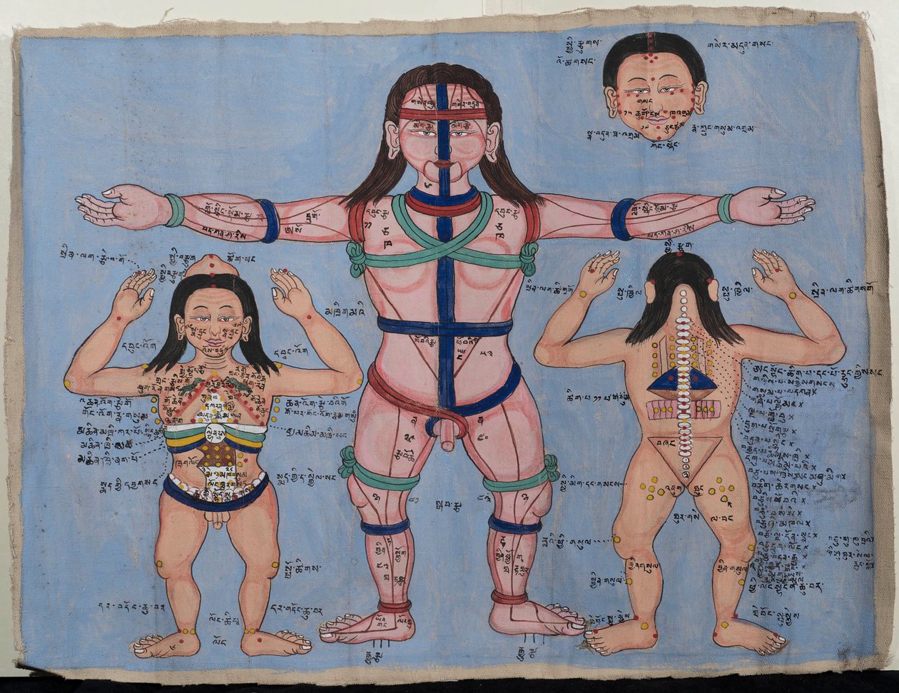 Tableau anatomique - Tibetan School