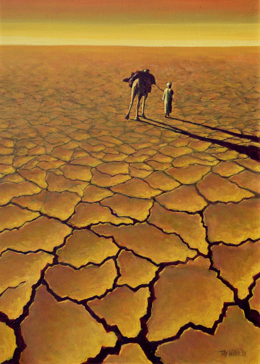 Voyage saharien, 1995 - Tilly Willis