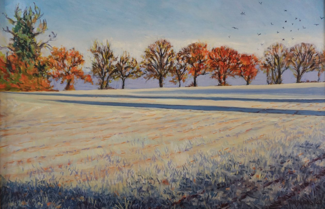 Givre sur le champ - Tilly Willis