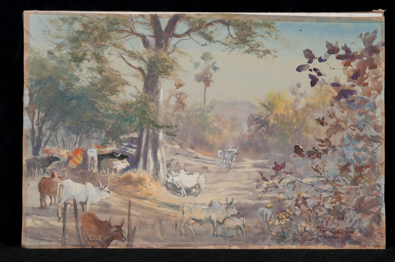 Bétail, Jambughoda - Tim Scott Bolton