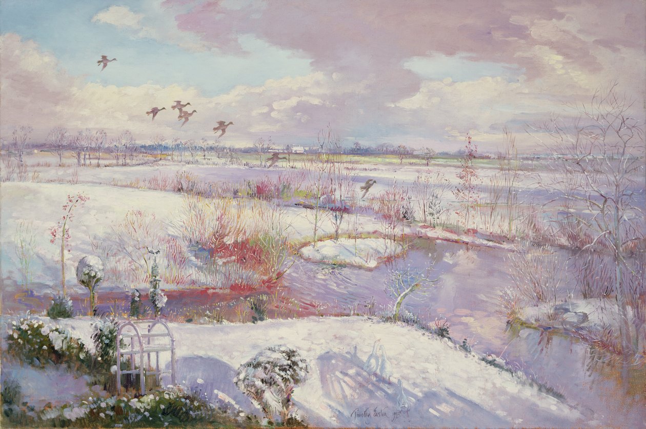 Descente en vol, 1993 - Timothy Easton