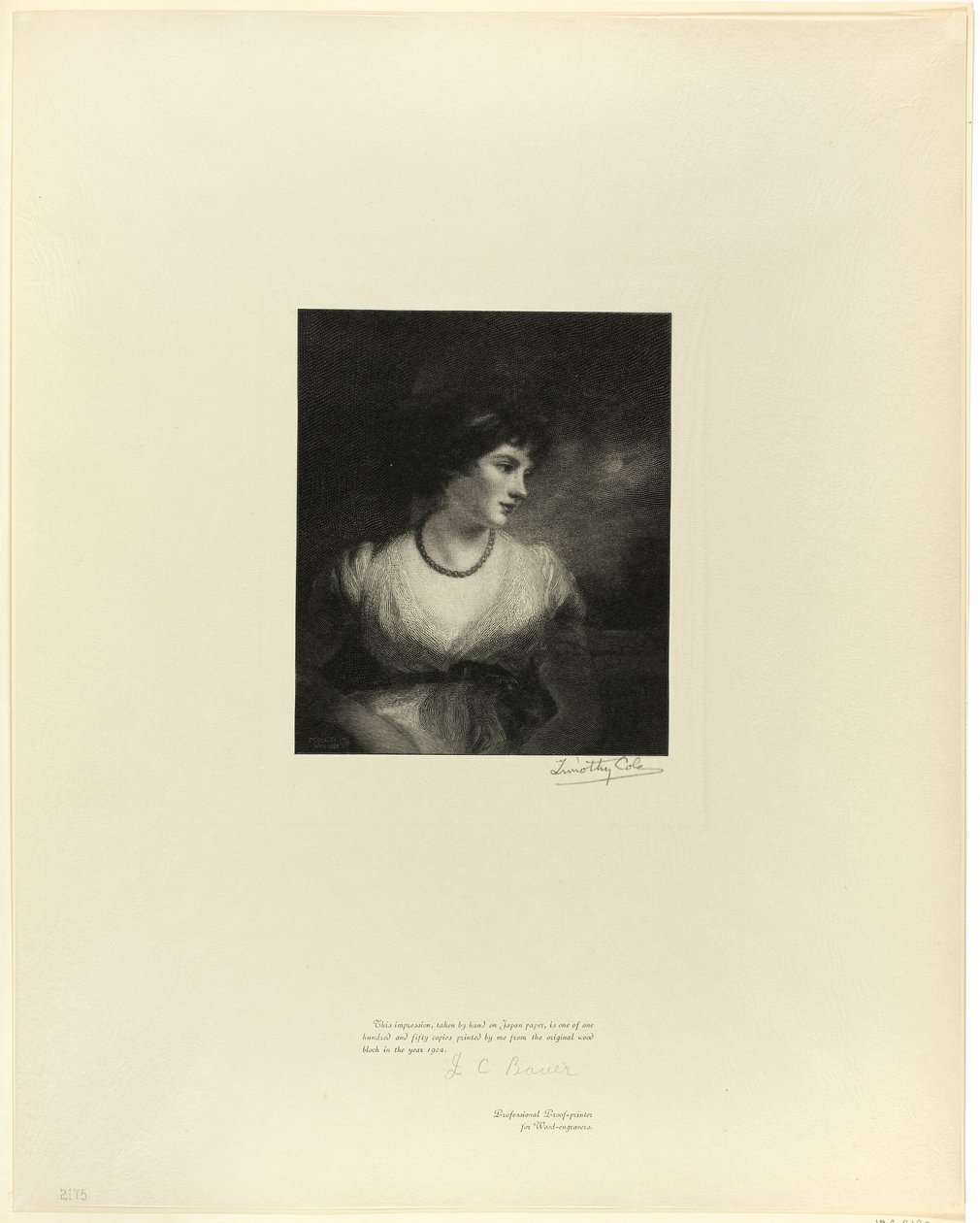 Comtesse d
