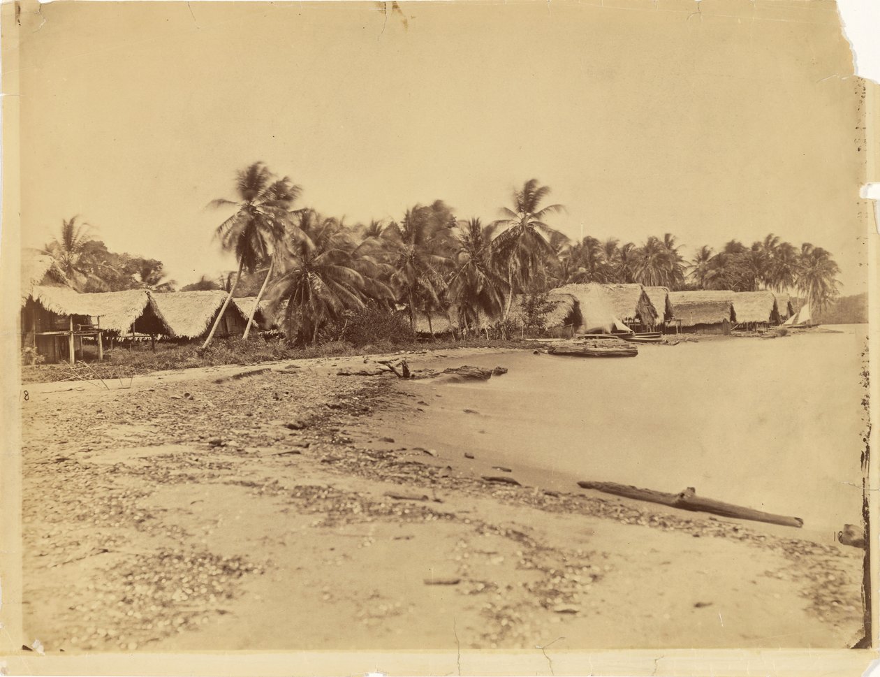 [Cabanes, palmiers et plage, Itshumus, dans le Darién (Panama)] - Timothy H. O