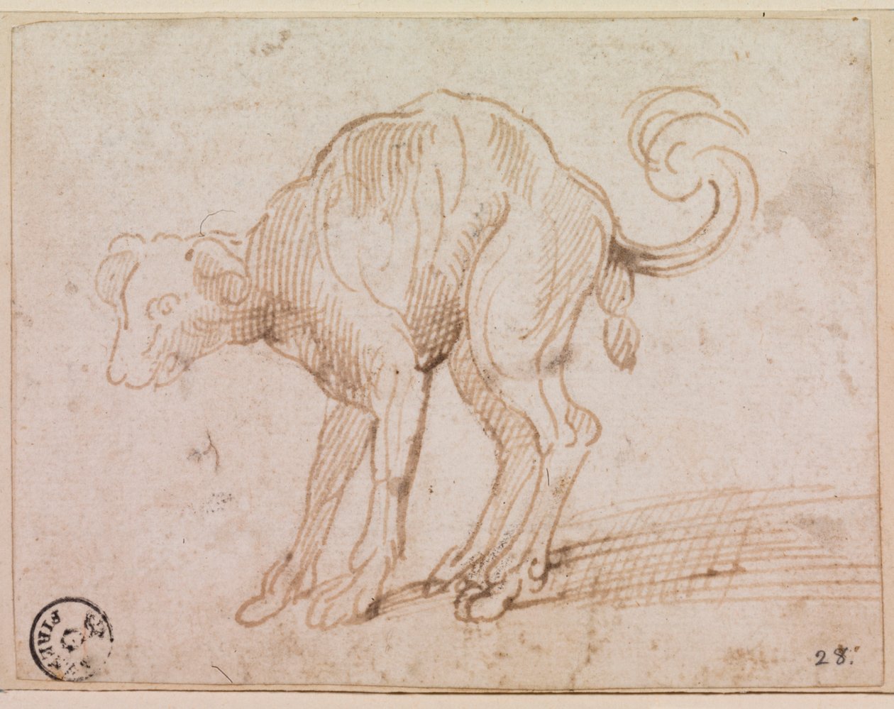 Détail d