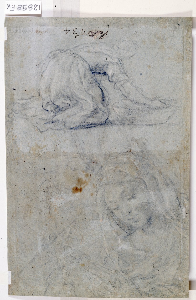 Études de la Vierge - Titian (c.1488 1576)