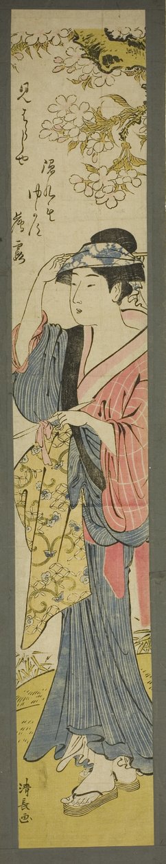 Femme regardant les cerisiers en fleurs - Torii Kiyonaga