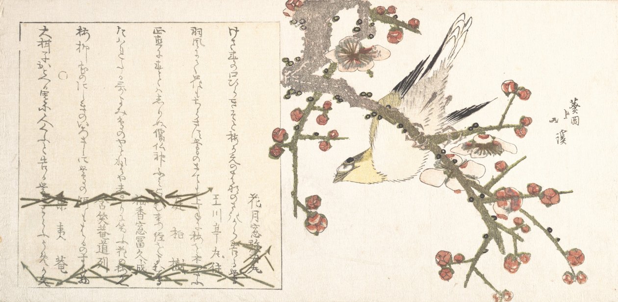 Fauvette sur une branche de prunier Ume ni uguisu, début du 19ème siècle - Totoya Hokkei