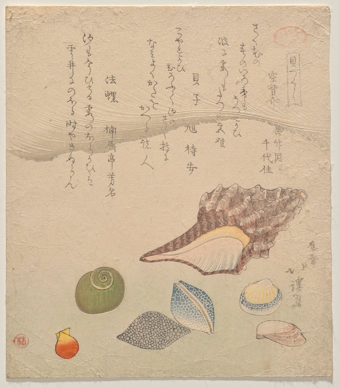 Sept coquillages au bord de la mer, de la série Compendium des coquillages (Kaizukushi) - Totoya Hokkei
