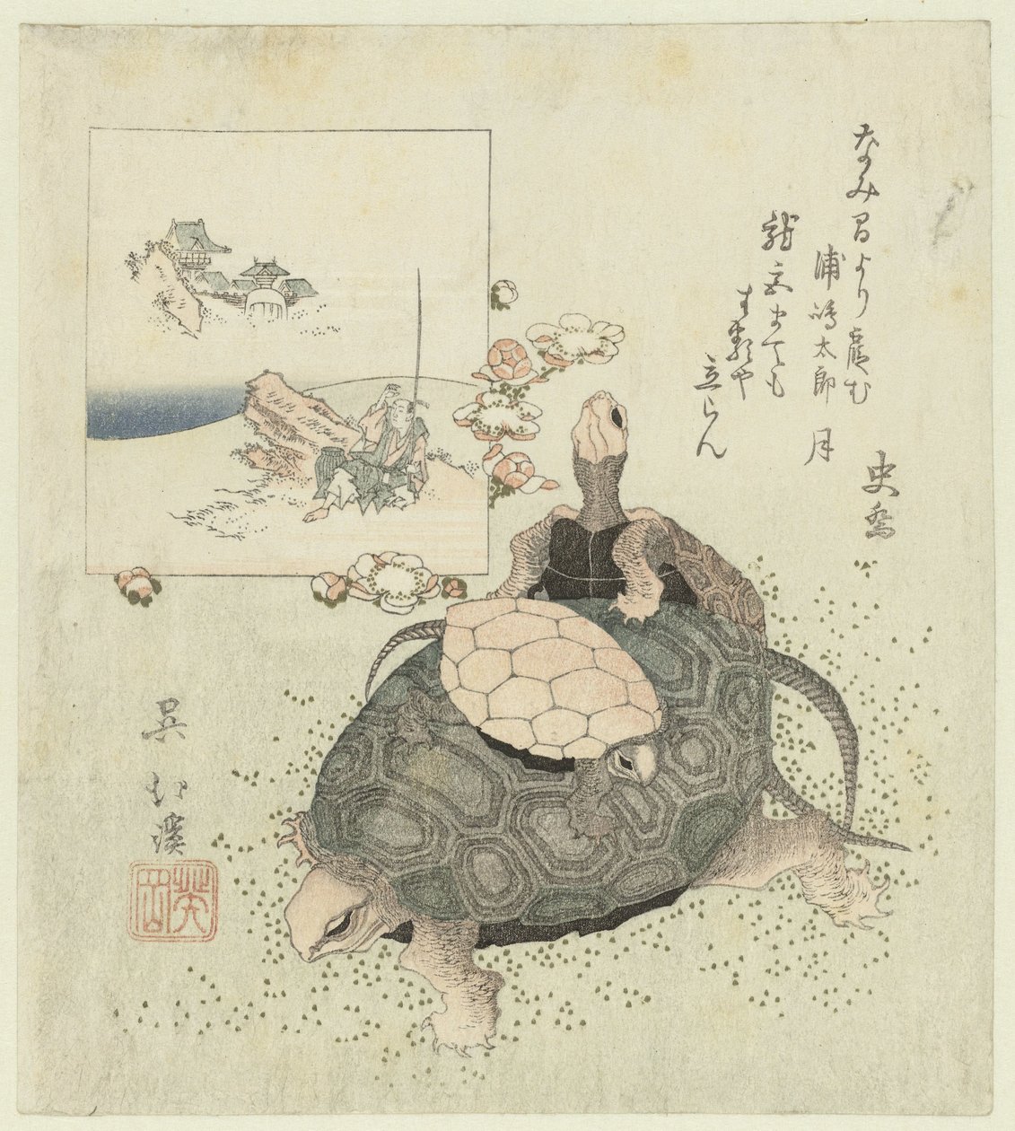 Tortues - Totoya Hokkei