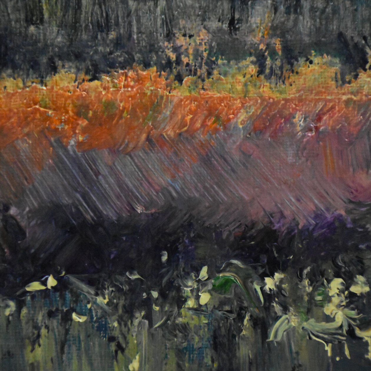 Floraison nocturne 2, 2019 - Tracy Lambros