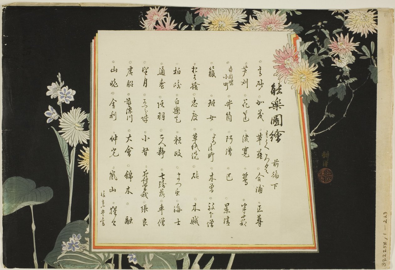 Page d