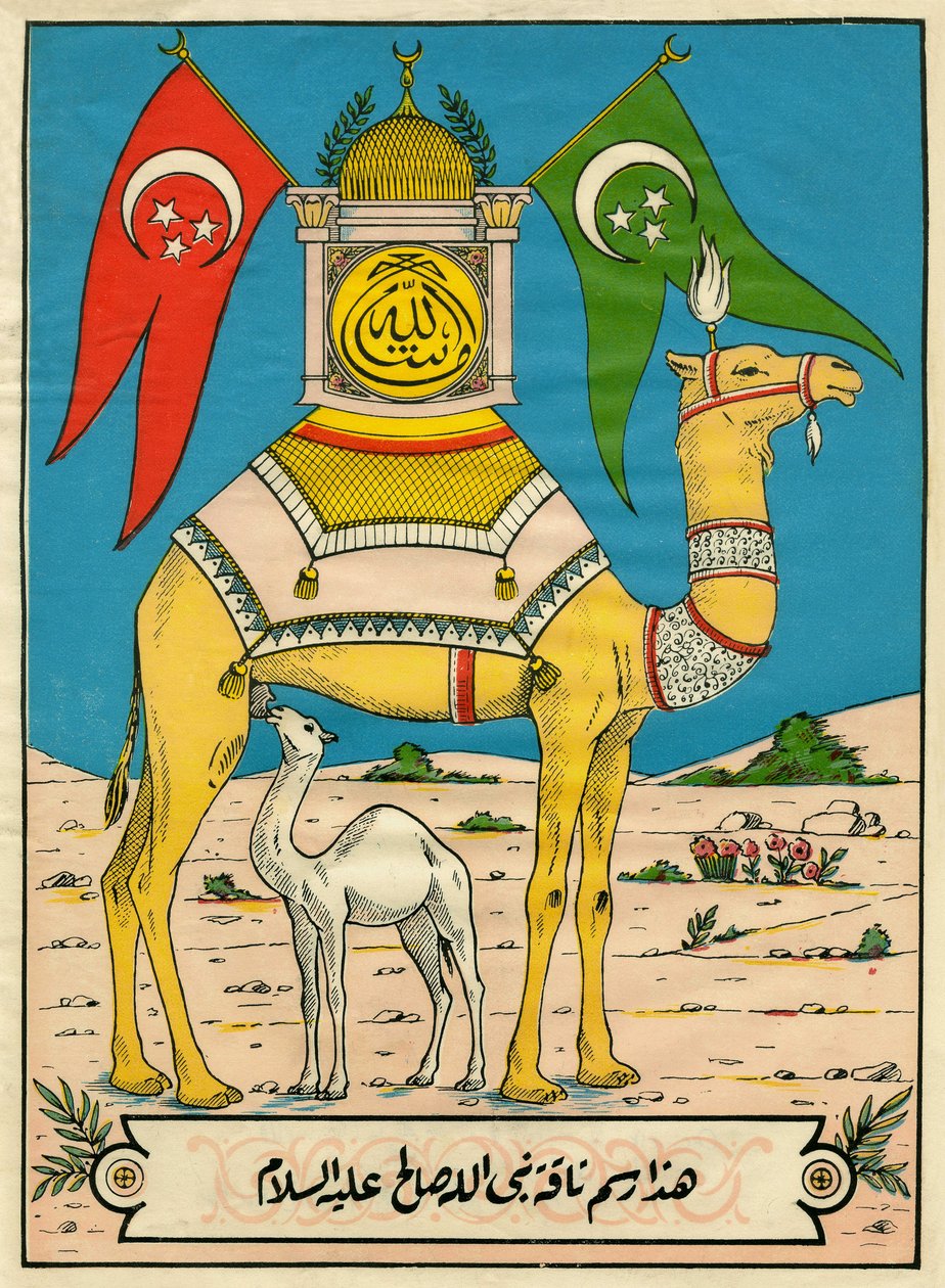 Le chameau de Saleh, Sourate 7, verset 71 : (...) ce chameau de Dieu est pour vous un signe (...). Imagerie populaire, Tunisie - Tunisian School