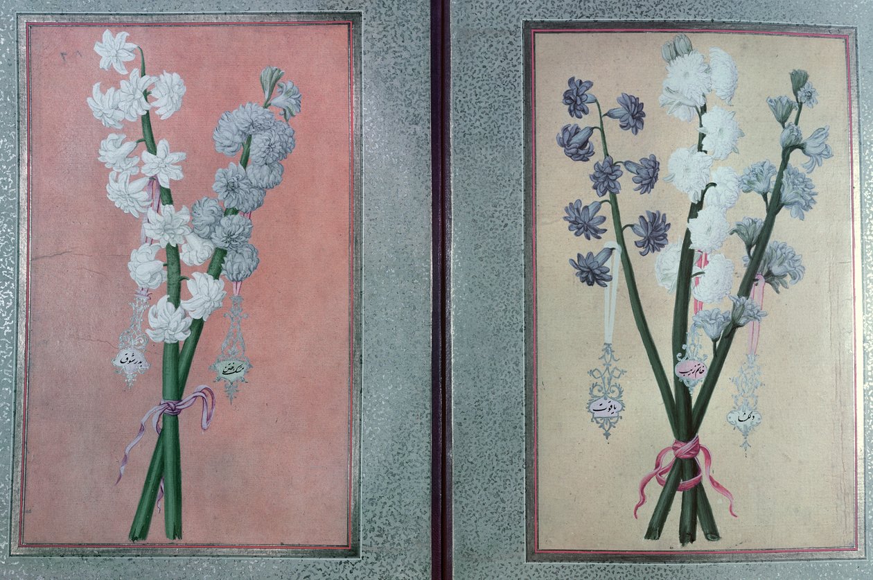 Deux jacinthes, 1736 - Turkish School