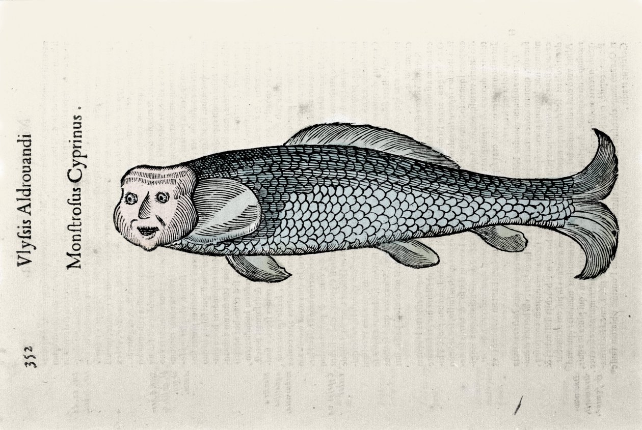 Représentation de poisson Nicolas Plate illustrée avec un manuscrit d