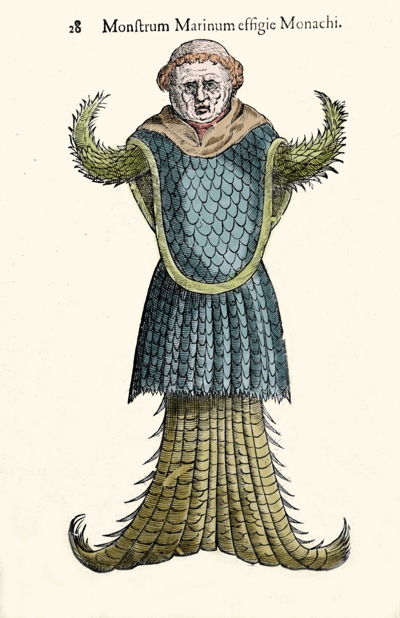 Le moine de mer, poisson imaginaire et monstre marin par Ulisse Aldrovandi (1522-1605), "Monstrorum Historiae", Bologne 1642 - Ulisse Aldrovandi