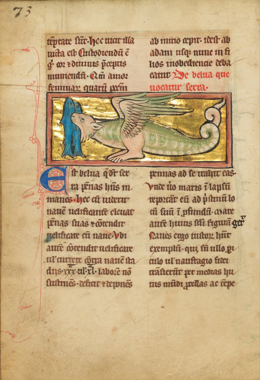 Animal ressemblant à un dragon avec des ailes - Unbekannt Unbekannt