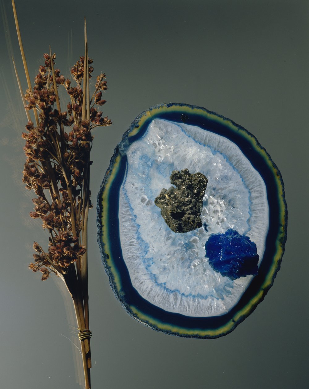 Cyanure, Arsenic et Mercure - Unbekannt Unbekannt