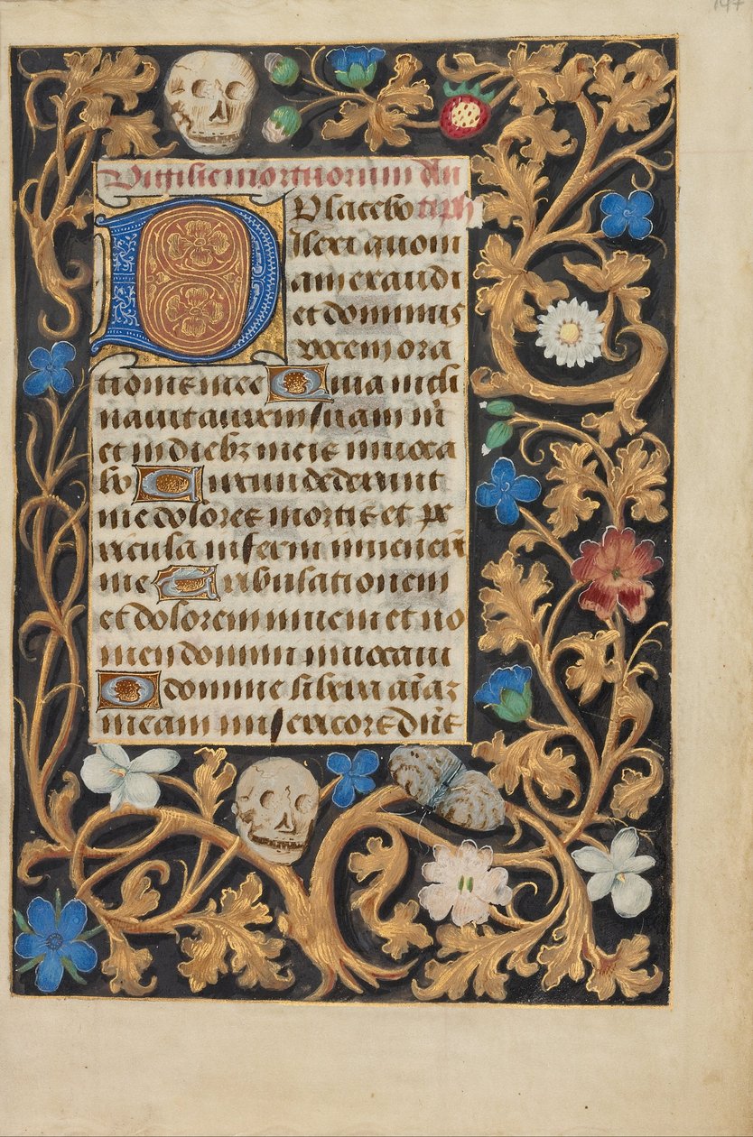 Initiale décorée D (6821879) - Unbekannt Unbekannt