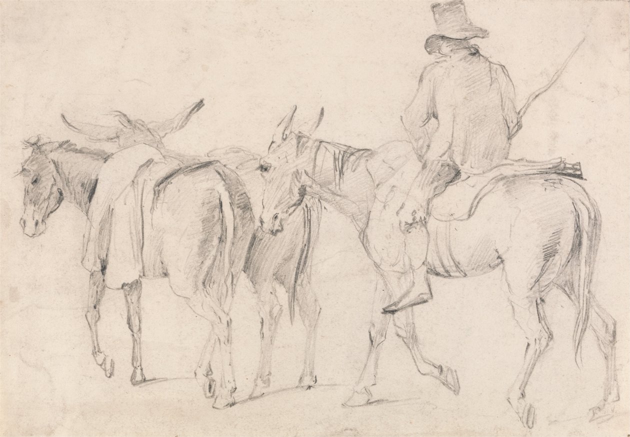 Fermier avec des mules - Unbekannt Unbekannt