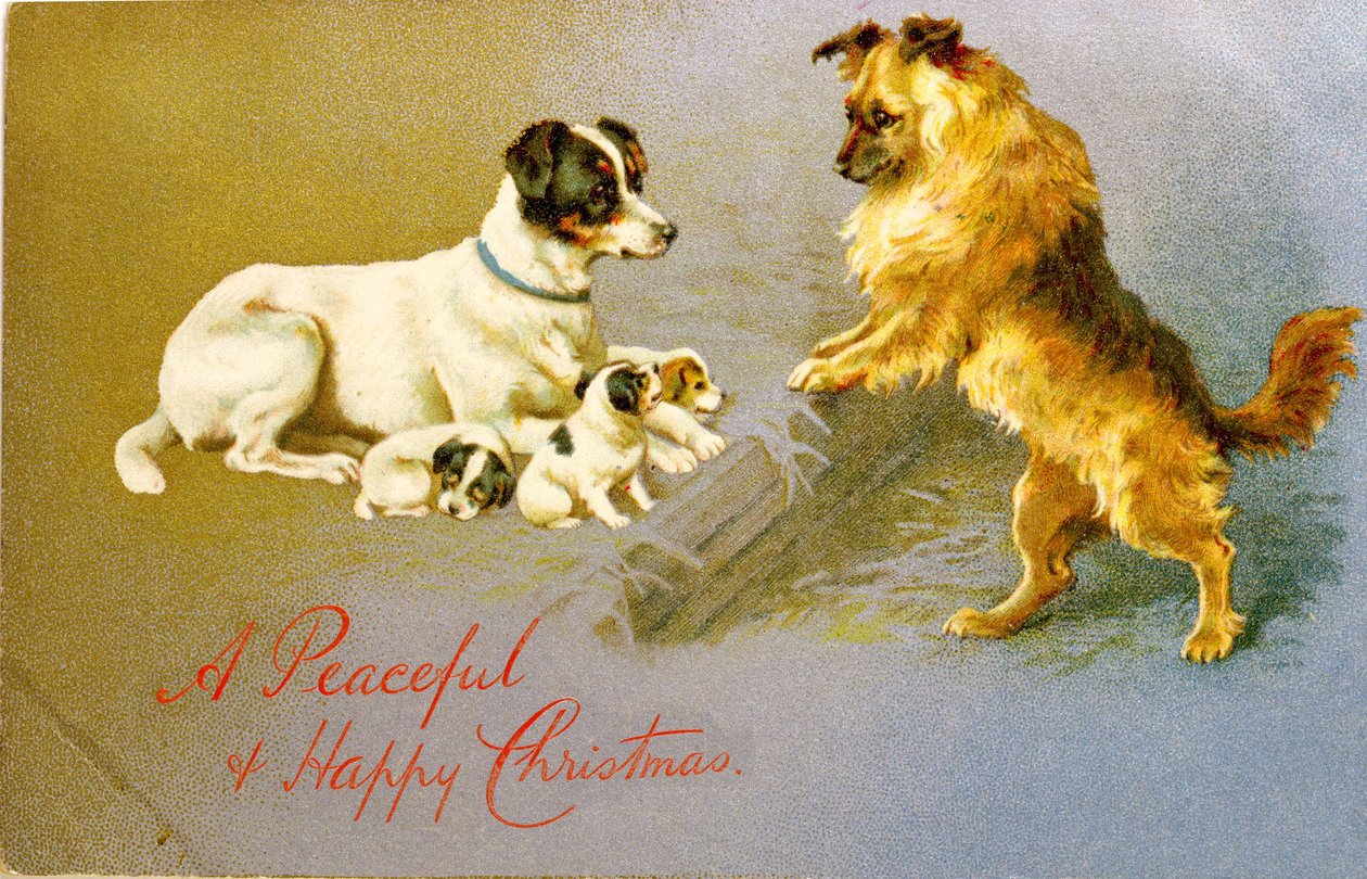 Chiots dans la paille, carte postale victorienne - Unbekannt Unbekannt