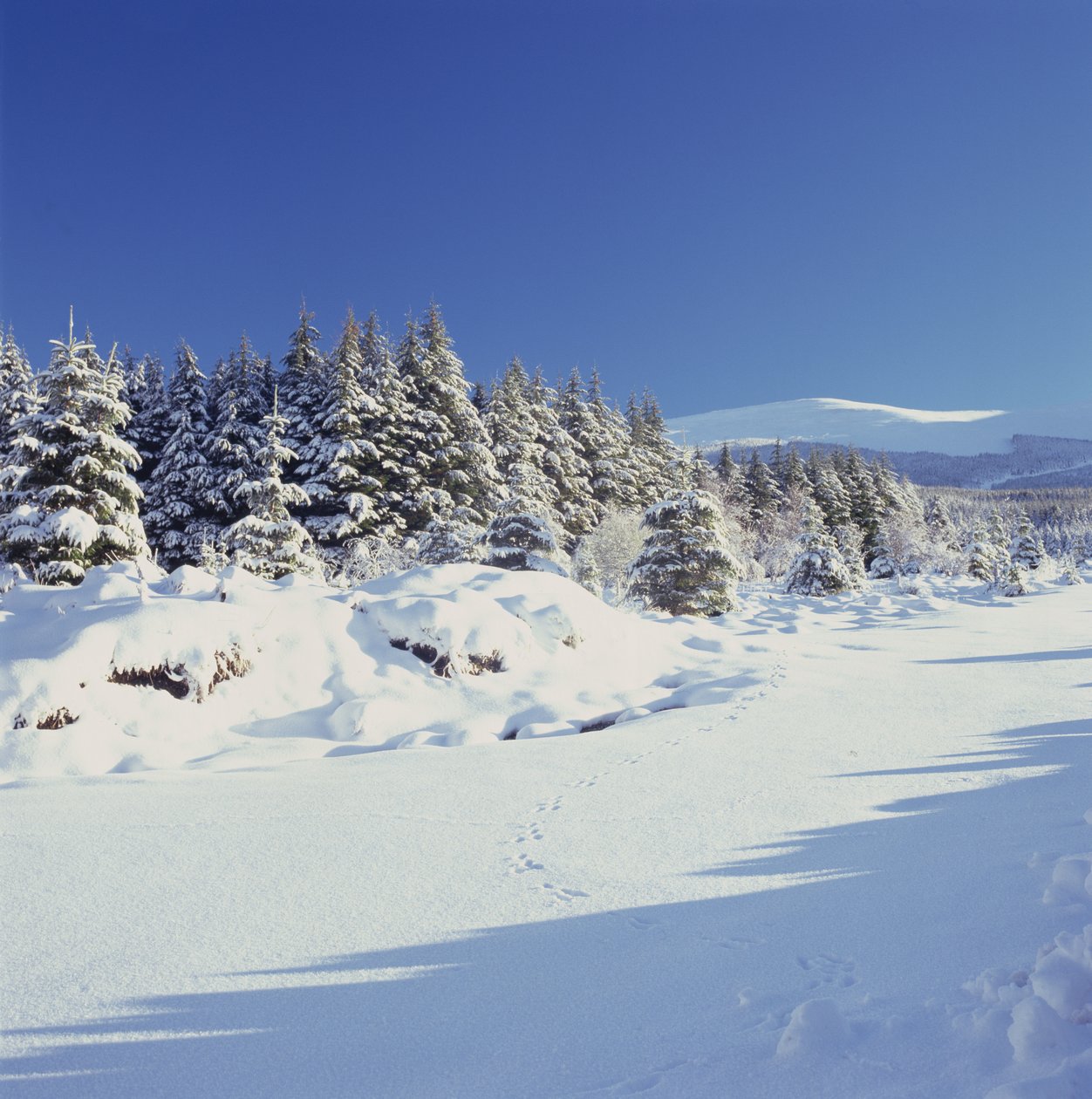 Les montagnes de Wicklow en hiver - Unbekannt Unbekannt