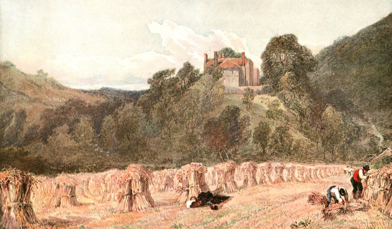 Un champ de blé, c1840s, c1900 - Unbekannt