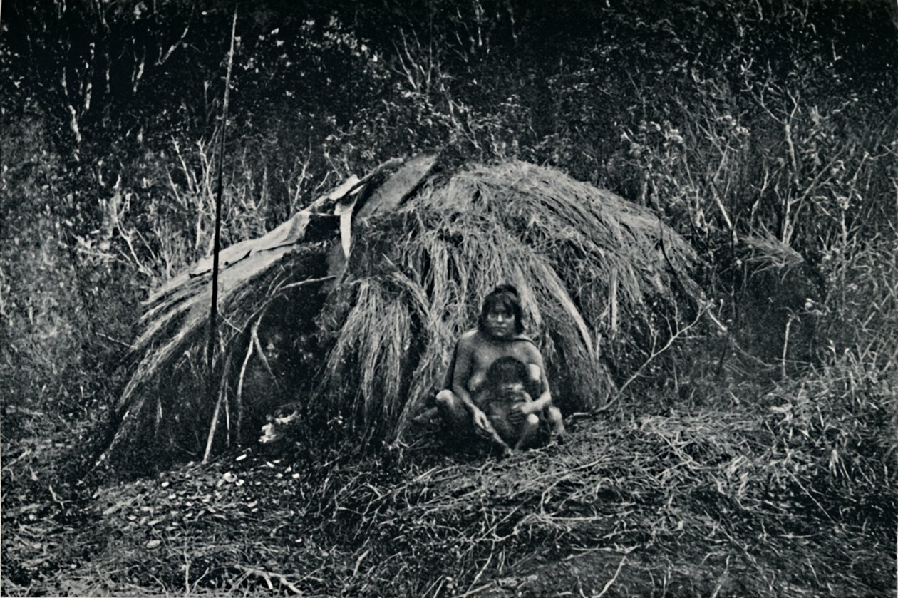 Une hutte Yaghan en Fuegia, 1911 - Unbekannt