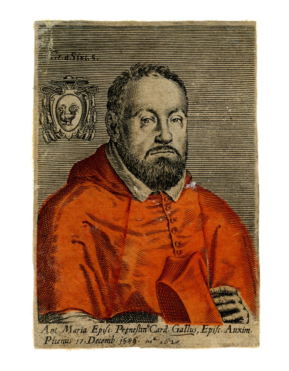 Un cardinal, 16e siècle - Unbekannt