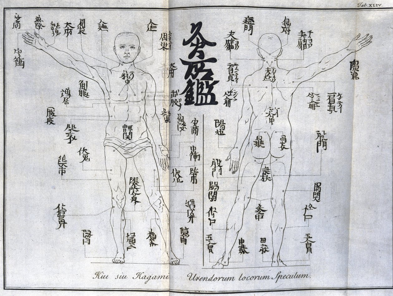 Acupuncture : carte du corps humain indiquant les points de moxibustion, Japon (c. 1690) - Unbekannt