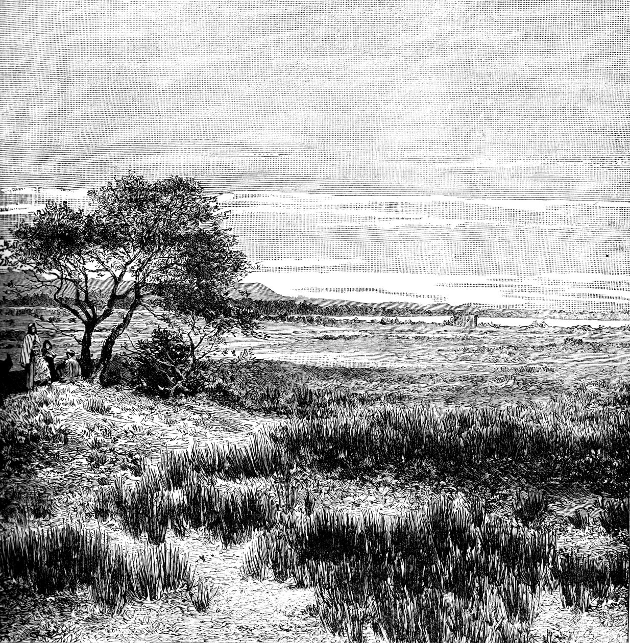 Vallée d