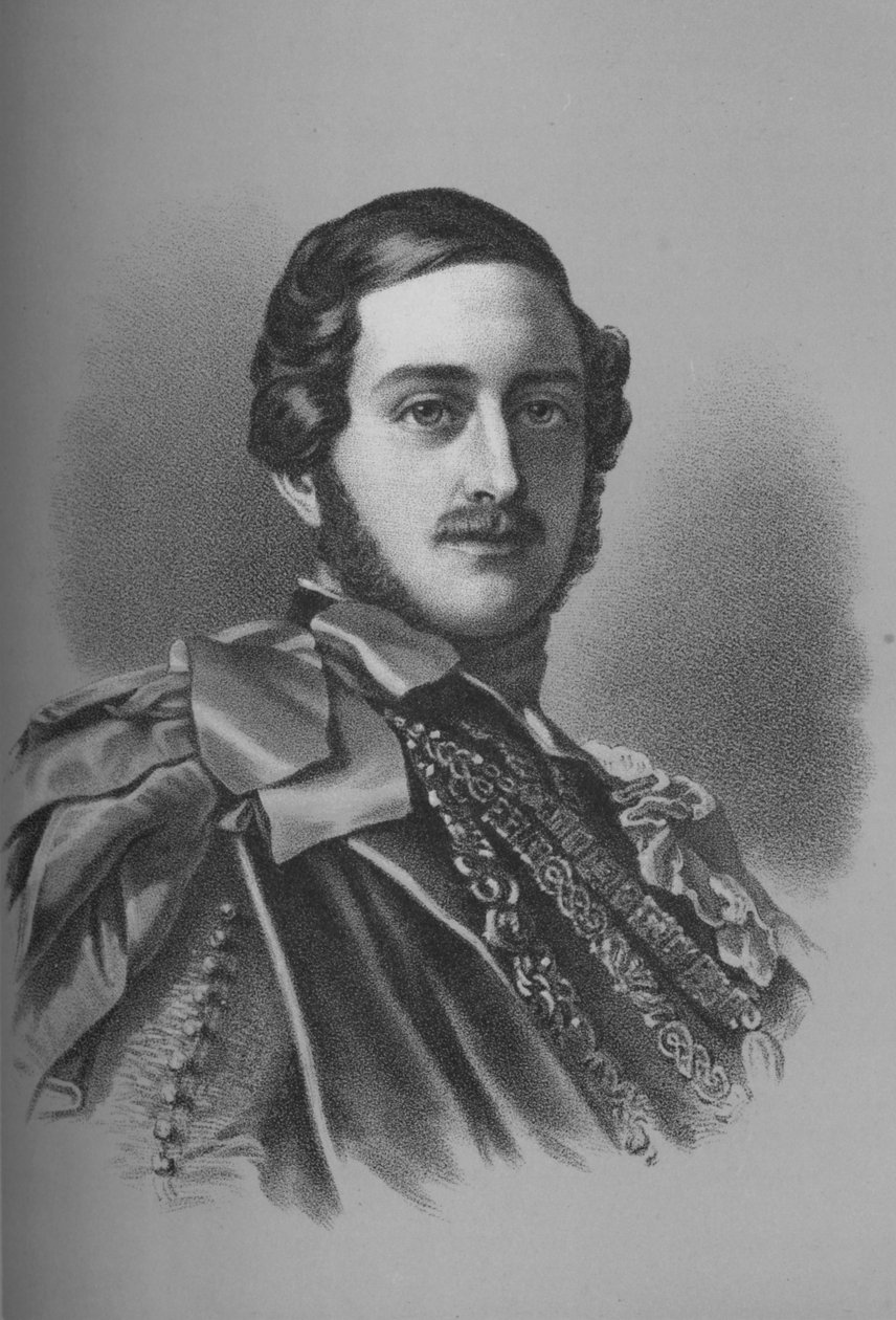 Albert, prince consort - Unbekannt