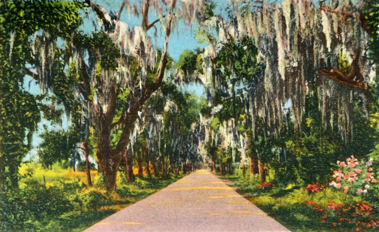 Une scène de route séduisante dans les Carolines, 1942 - Unbekannt